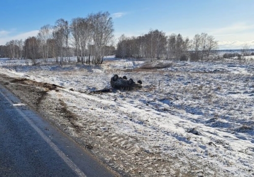 Смерть в кювете: в Омской области погиб 44-летний мужчина