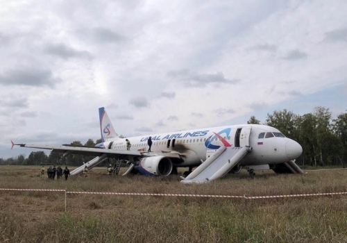 Уволился КВС Белов, посадивший самолёт «Сочи–Омск» на пшеничное поле
