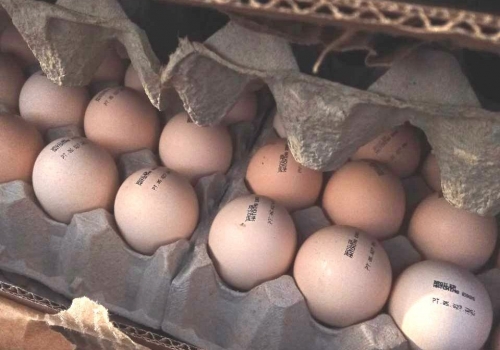 В Омской области на границе с Казахстаном задержали более 1000 яиц