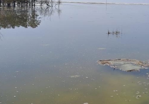 МЧС: уровень реки Шиш на севере Омской области достиг опасного явления