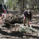 В лесу под Омском нашли сотни килограммов костей