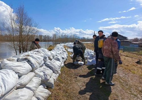 Хоценко: в Усть-Ишиме все еще строят дамбу
