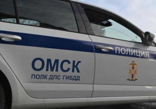 Омские полицейские спасли мужчину с разорванной артерией на трассе Челябинск–Новосибирск