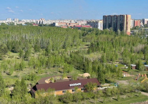 «Пришло  время»: к благоустройству парка 300-летия Омска пытаются привлечь инвесторов