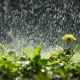 Погодные качели: после недолгого потепления Омск опять ждут дожди и холода