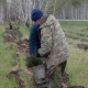 Новый сад памяти в Омской области посвятили лесоводам-фронтовикам