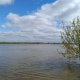 В Омской области уровень воды в реке Ишим продолжает падать