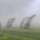 В Омске прогнозируют сильный ветер