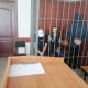 В Омской области вынесли приговор мигрантам за попытку вывезти краснокнижных сапсанов из России