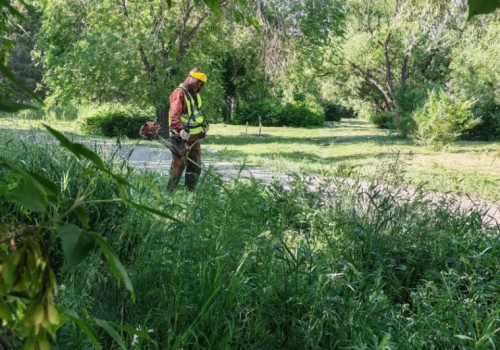 В Омске продолжается «сенокос»: скошено больше 700 га травы