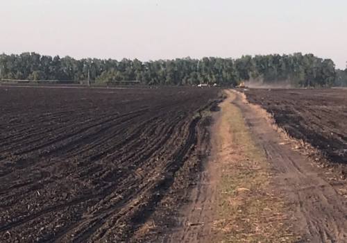 Виновников природных пожаров в Омской области будут лишать бюджетных вливаний