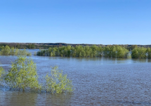 В Омской области отменили режим повышенной готовности из-за разлива рек