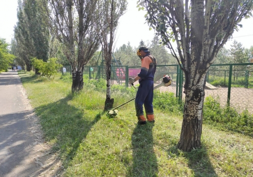 Мэрия Омска выдала организациям уже 70 предписаний за нескошенную траву