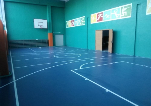 В районных школах Омской области отремонтируют 9 спортзалов