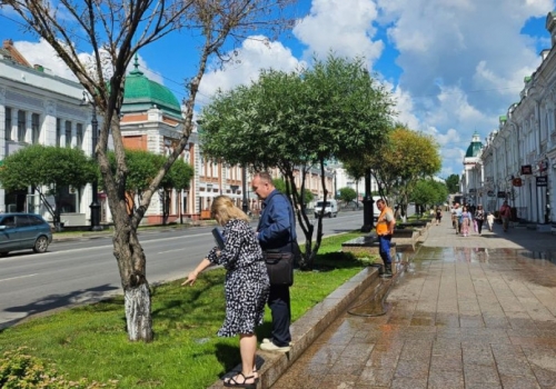 В центре Омска и на Левобережье заменят 150 высохших дерева