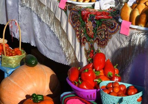 В школах Омской области будут обучать будущих агрономов с «прицелом» на вузы