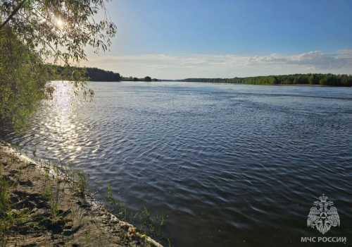 В Омской области в летний период утонули уже 22 человека