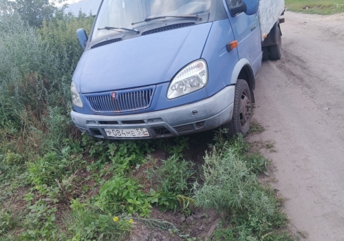 В Омской области пьяная автоледи сбила ребенка
