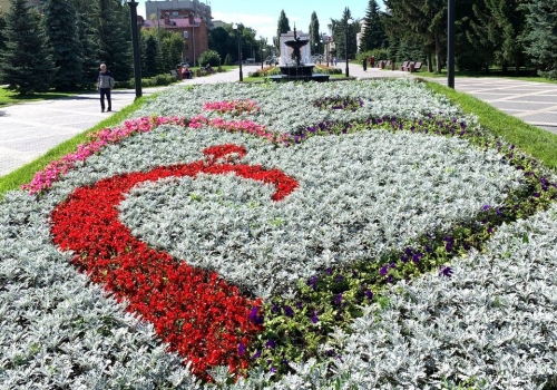 Клумба из 9 тысяч цветов: в Омске продолжают готовиться к «Флоре»