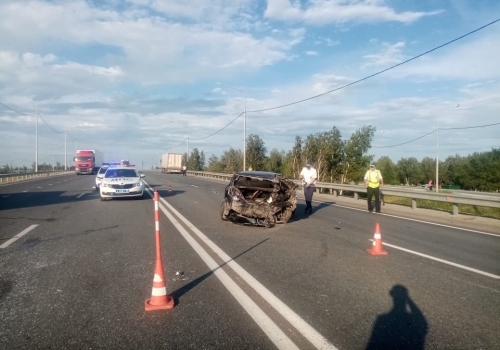 В Омской области федеральные трассы смертельно опасны — погибло с начала года 50 человек