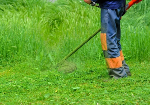 В Омске выделили почти 3 млн рублей на стрижку травы