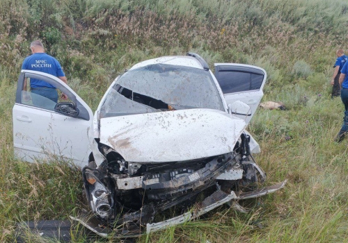 В одном из районов Омской области произошло смертельное ДТП