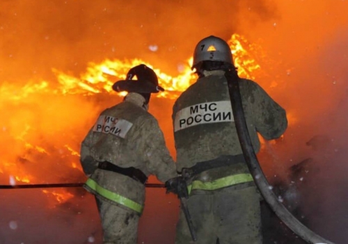 В Омской области за неделю в пожарах погибло 2 человека