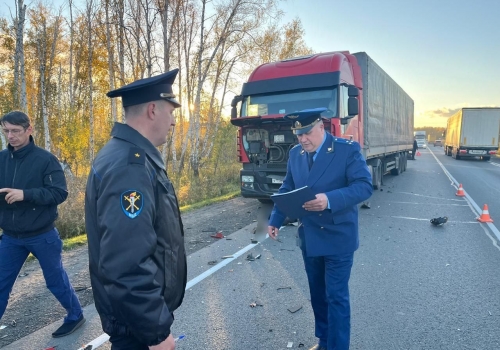 На трассе Тюмень-Омск разбилась насмерть 16-летняя мотоциклистка