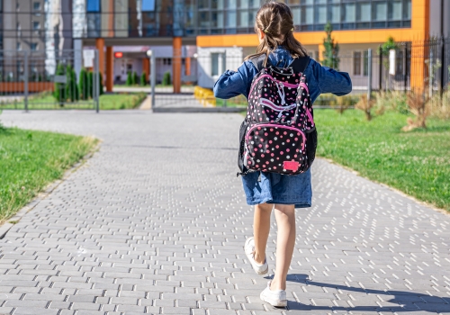 https://ru.freepik.com/free-photo/little-girl-goes-elementary-school-child-with-backpack-is-going-study-back-school-concept_17327124.htm#fromView=search&page=1&position=11&uuid=faa636f4-675d-4f0c-997a-4c6203cc9582