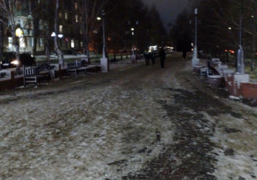 В Омскую область накануне ноября почти вернулось лето