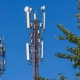 Т2 лидирует на рынке MVNO — исследование ComNews Research