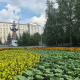 С мая в Омске высажено более полумиллиона цветов