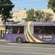 На омские улицы вышли автобусы с флагами России