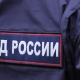 Полиция обещает наказать омичку, укравшую цветы в сквере «Сердце Омска»
