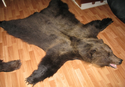 http://www.balubear.ru/images/stories/20102011/kover-medved-160-33k.JPG