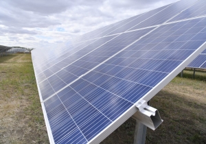 Свежие Новости Омска и Омской области