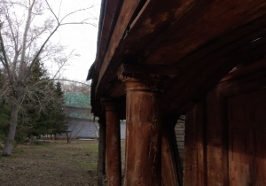 Свежие Новости Омска и Омской области