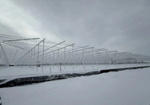 Свежие Новости Омска и Омской области