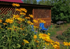 Свежие Новости Омска и Омской области